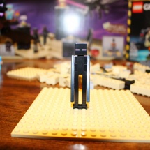 LEGO Ender Dragon 38