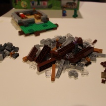 LEGO Minecraft: The First Night 10