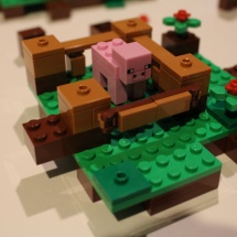 LEGO Minecraft: The First Night 20