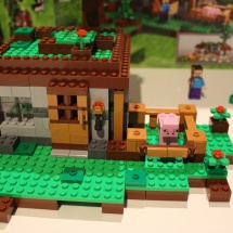 LEGO Minecraft: The First Night 21