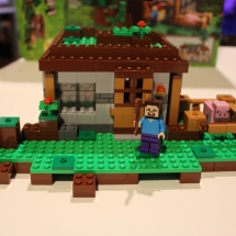 LEGO Minecraft: The First Night 22
