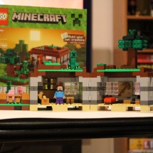 LEGO Minecraft: The First Night Complete