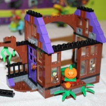 LEGO Mystery Mansion 20