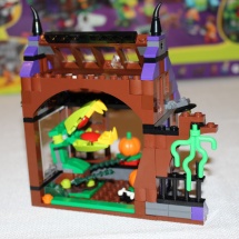 LEGO Mystery Mansion 21