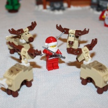 Reindeer Attack