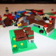 LEGO Lakeside Lodge 5