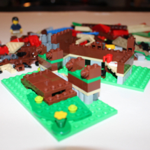 LEGO Lakeside Lodge 6