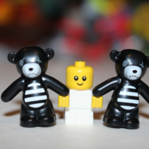 LEGO Baby and Bears