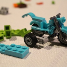 LEGO Mystery Mansion 8