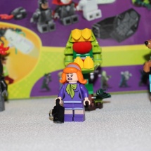 LEGO Mystery Mansion 16